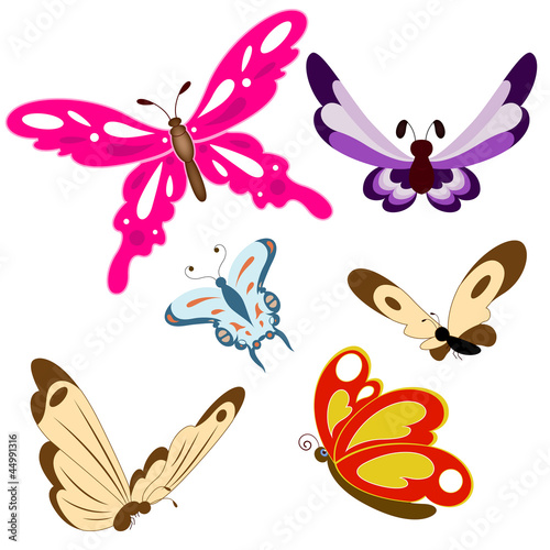 Butterfly Vectors