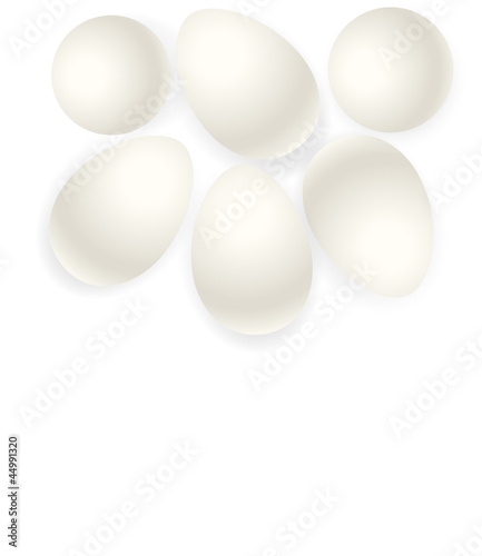 Eggs Vectors