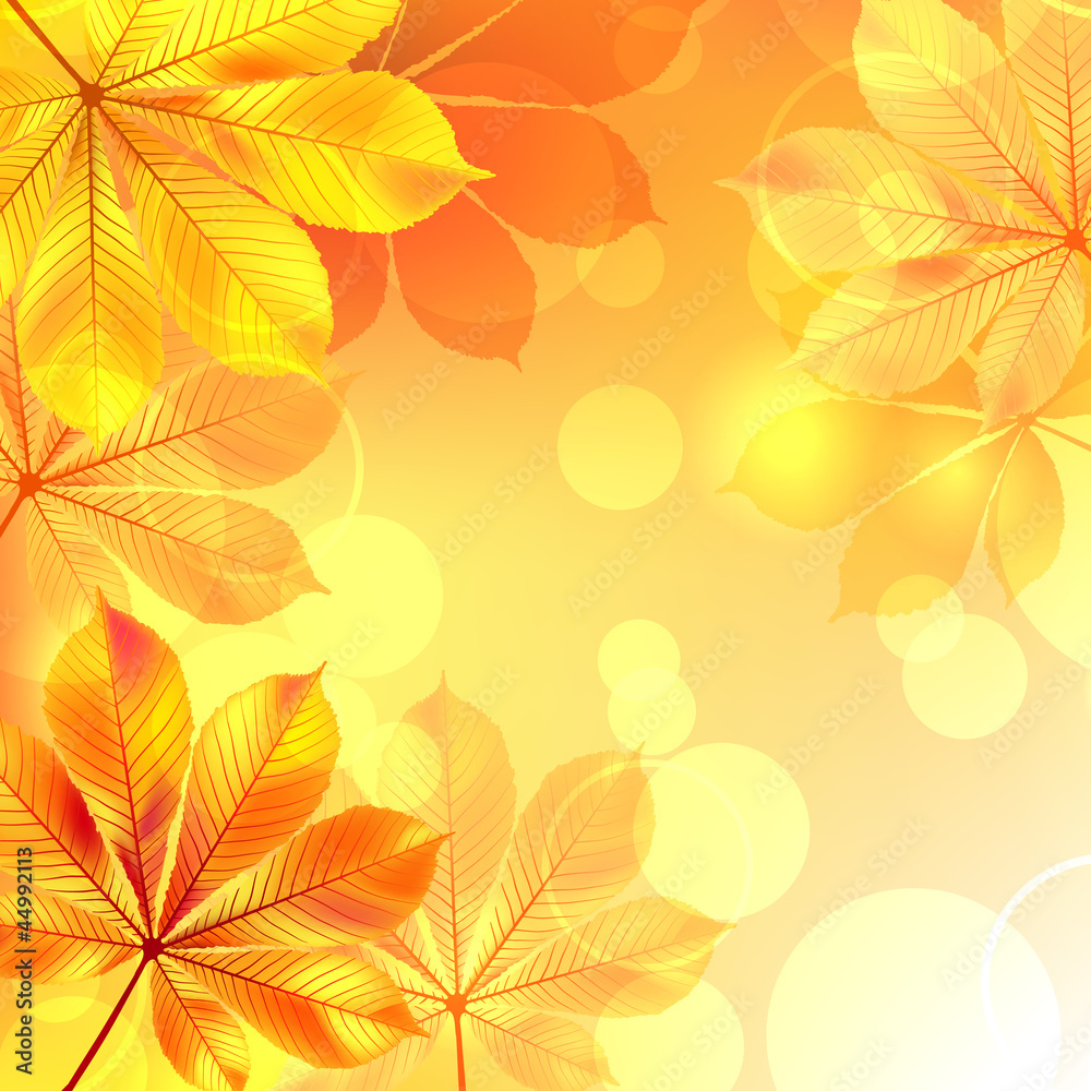 Autumn background with yellow leaves. Vector illustration.