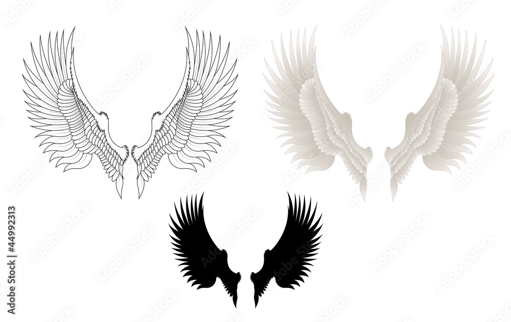 Obraz premium Vector Wings