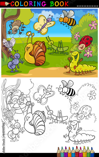 Insects and bugs for Coloring Book or Page