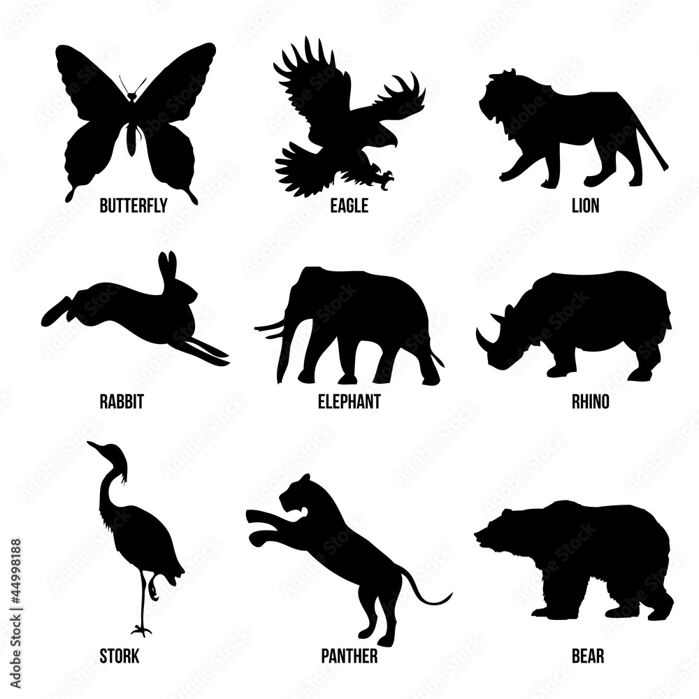 vector set of animals silhouette
