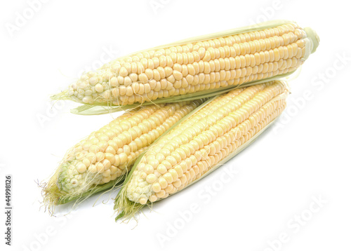 Corn cobs on white background