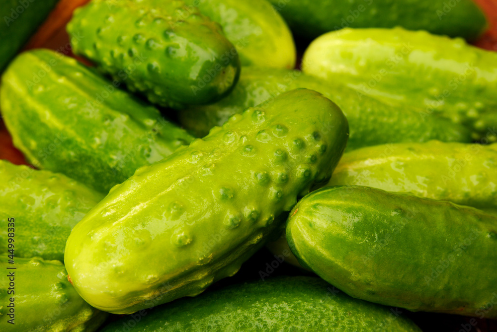 cucumbers cucumbers