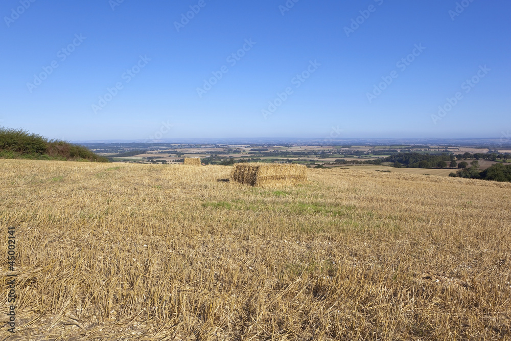 straw bales and scenery