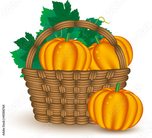 Pumpkin in the basket