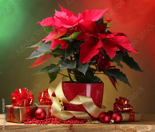 beautiful poinsettia in flowerpot, gifts and Christmas balls photo