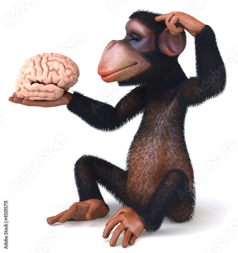 Photography Chimp and brain