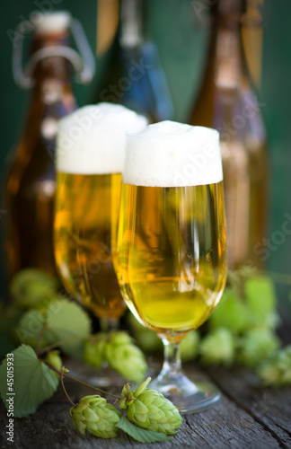 Frisches Pils und Hopfen
