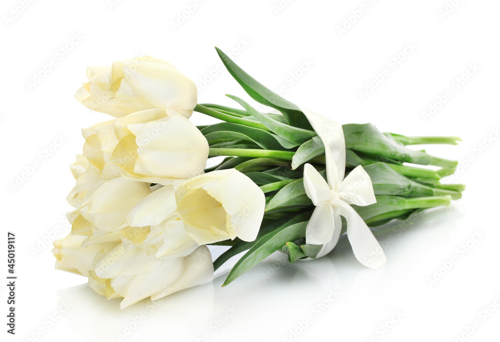 beautiful tulips isolated on white. beautiful tulips isolated on white.