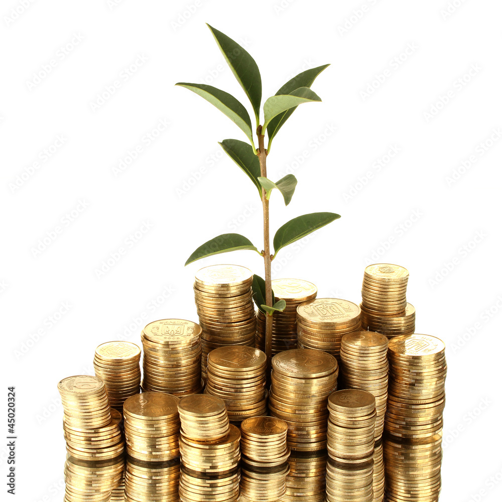 plant growing out of gold coins isolated on white plant growing out of gold coins isolated on white