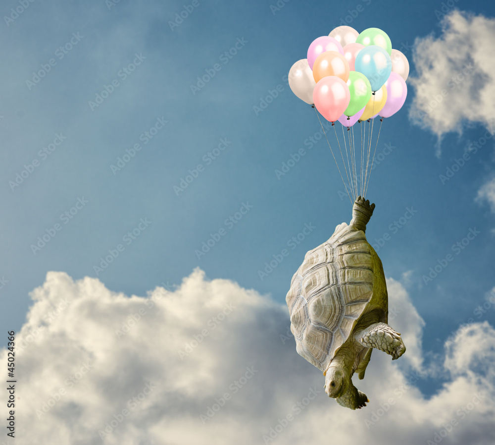 Fototapeta premium Tortoise Tied With Balloon