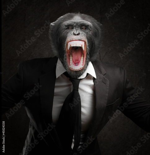 Photography Frustrated Monkey In Business Suit