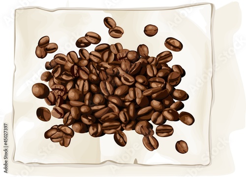 Coffee bean on book