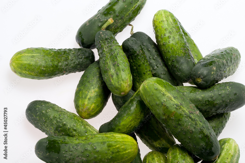 A fresh green cucumber isolated on a white background A fresh green cucumber isolated on a white background