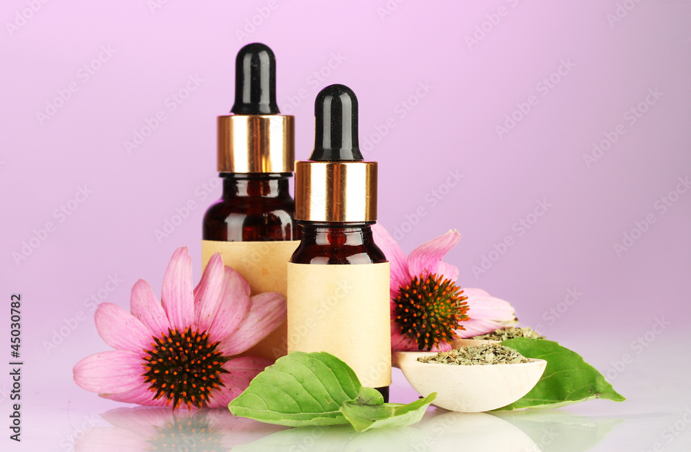 bottles with essence oil and purple echinacea, bottles with essence oil and purple echinacea,