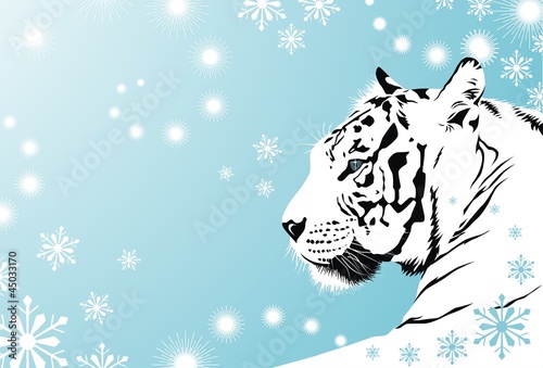 Fototapeta Naklejka Na Ścianę i Meble -  Tiger