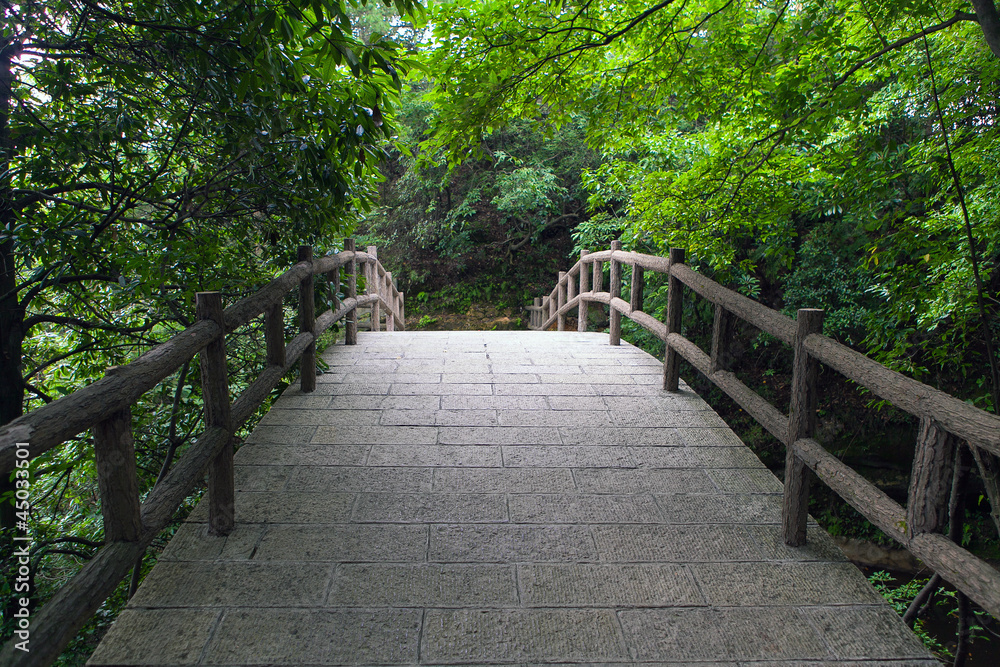Obraz premium Pedestrian bridge in the forest