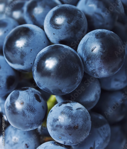 Grapes close up