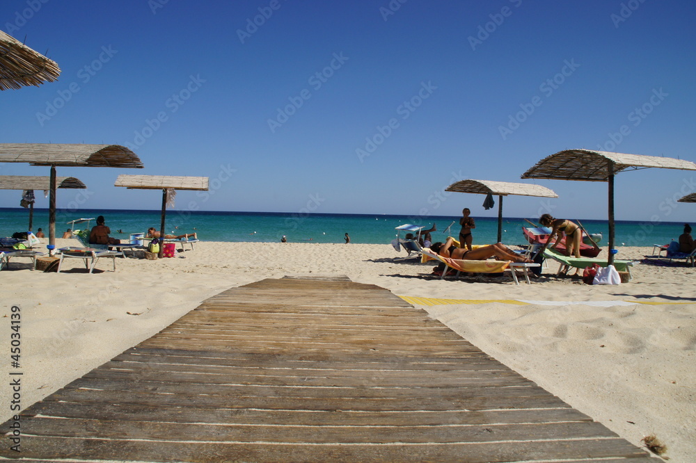 Fototapeta premium Strandleben