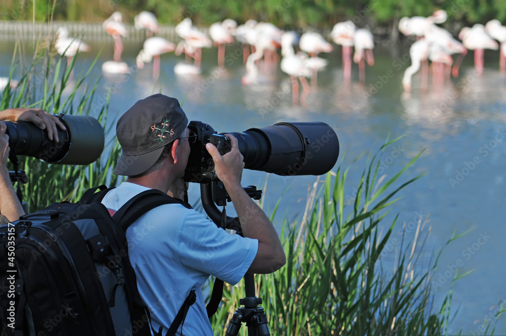 Photographe