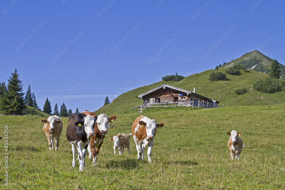 Fototapeta premium Almsommer