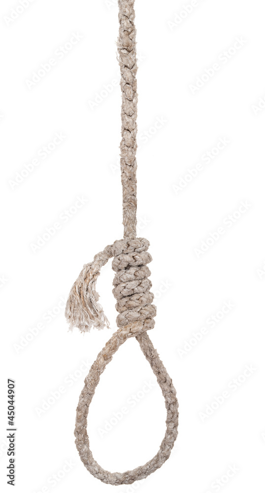 Rope with a loop and knot