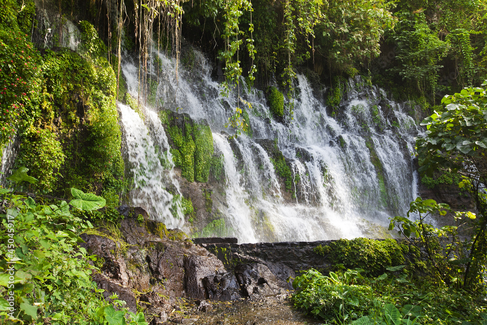 Fototapeta premium beautiful waterfall