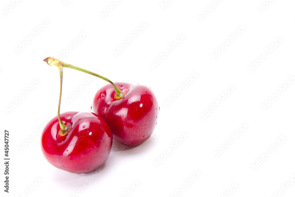 fresh cherry, two fresh cherries in one stem fresh cherry, two fresh cherries in one stem