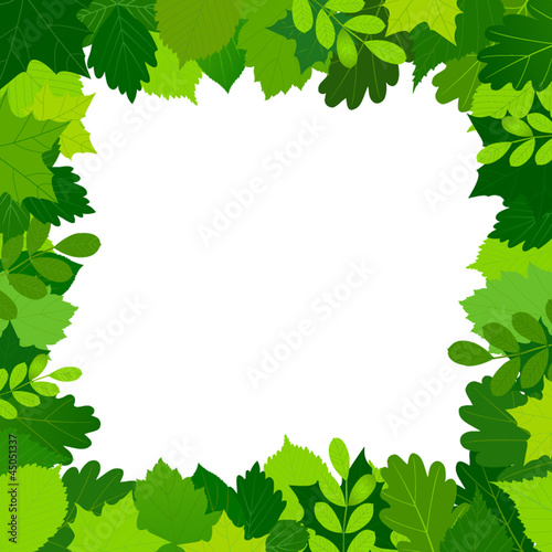 green leaves frame