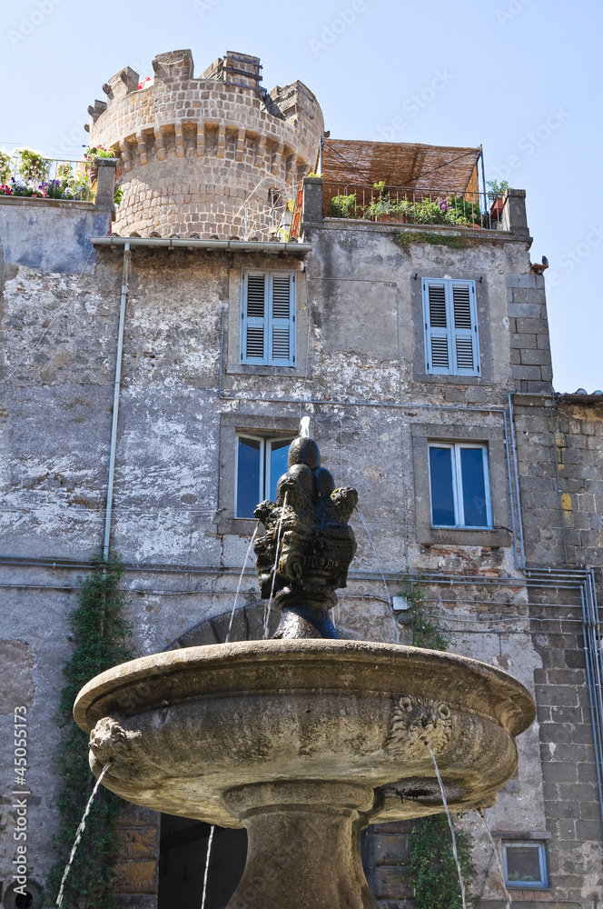 Monumental fountain. Bagnaia. Lazio. Italy.