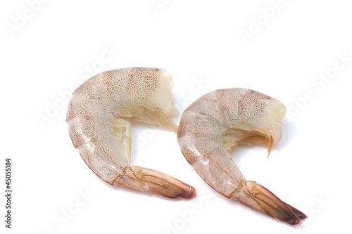 shimp on white background photo
