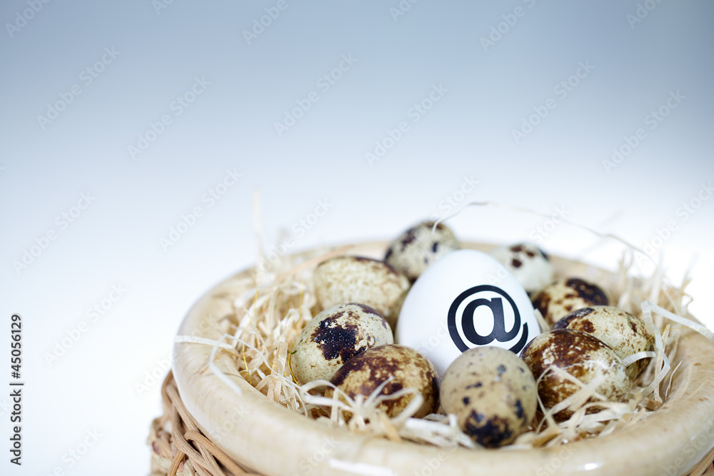 Obraz premium Eggs in nest