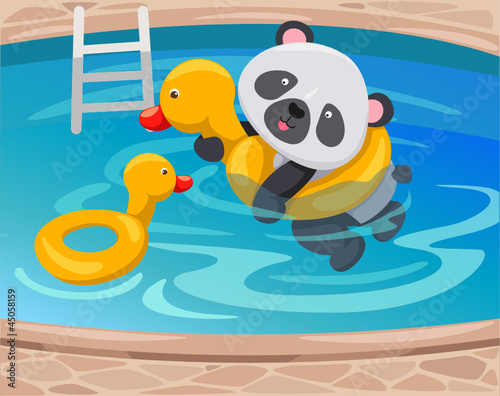 panda swimming with duck tube