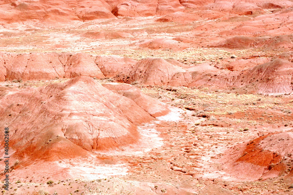 Naklejka premium Petrified Forest Landscape