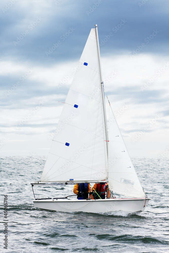 Naklejka premium The yacht.