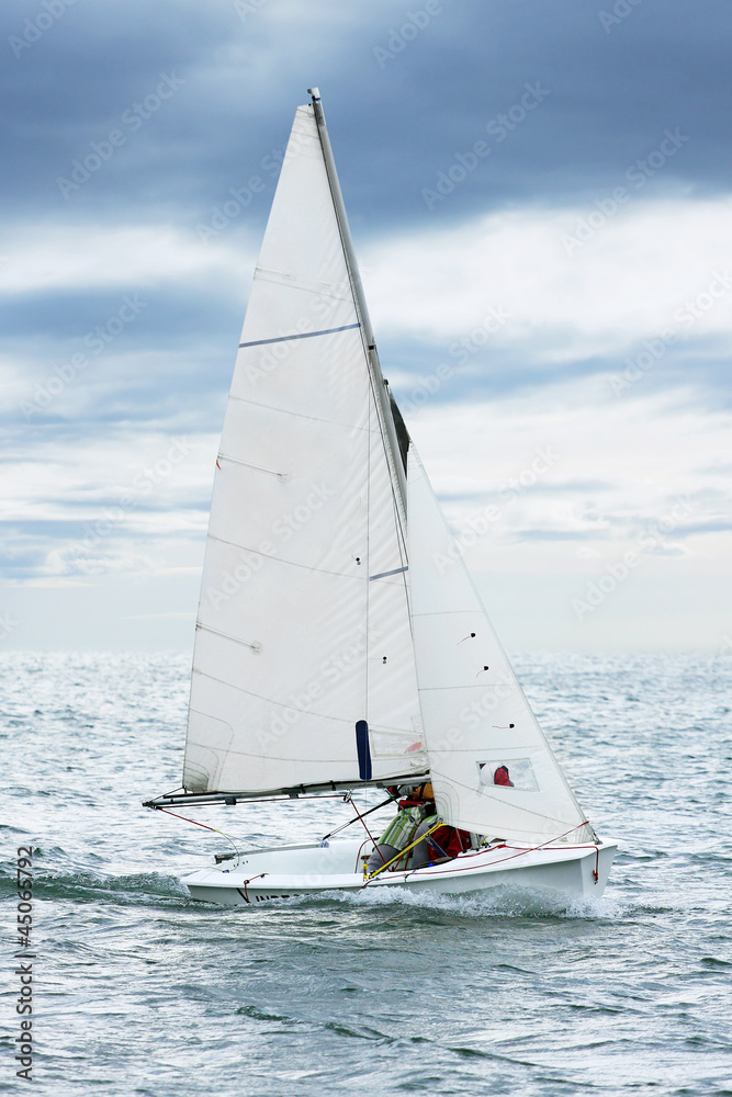 Naklejka premium The yacht.