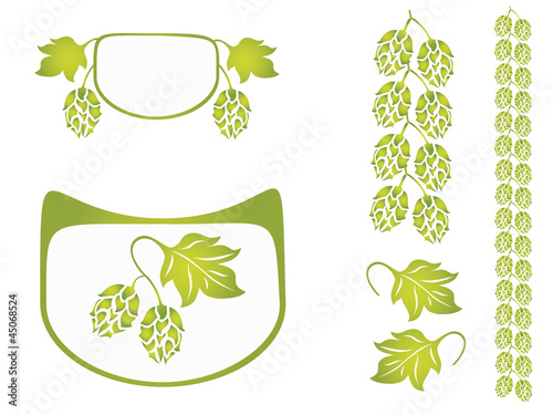 hops vector design