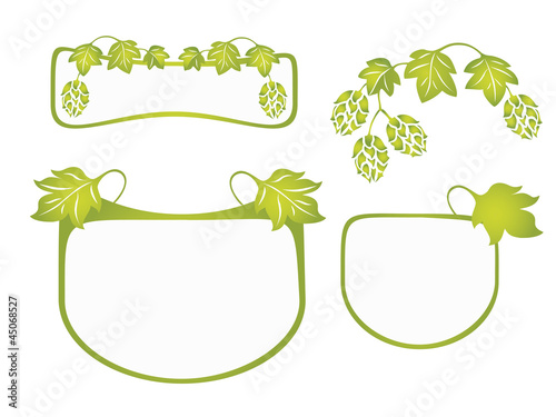 hops vector design