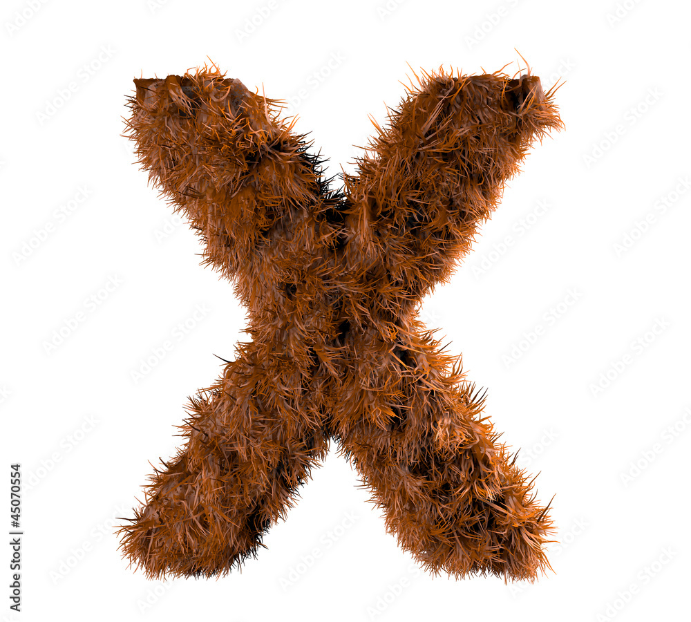 the x the x
