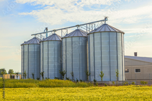 silver silos in corn field