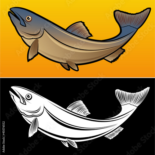 Salmon Fish, 2 versions Illustration