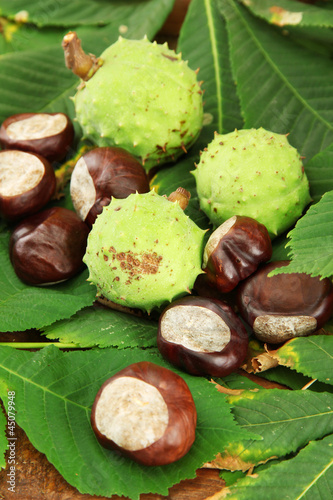 Chestnuts with leaves, on wooden background