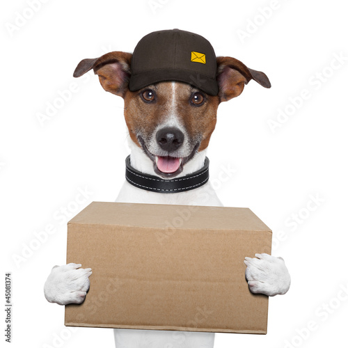 dog delivery post