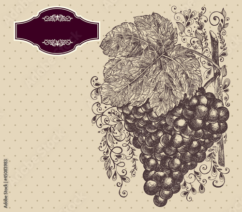 Vector illustration with grapes