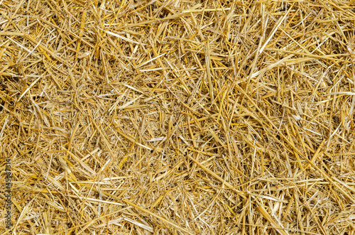 straw as textured background