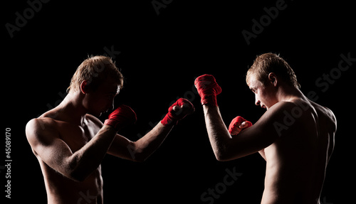 two boxers facing each other © ArtFamily