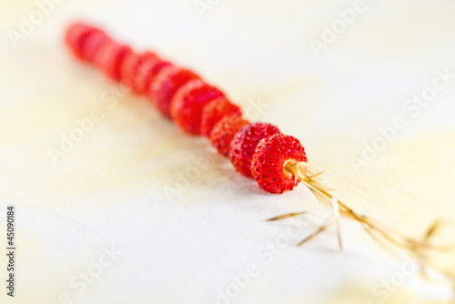 Photos Wild Strawberries on a straw, shallow depth of field