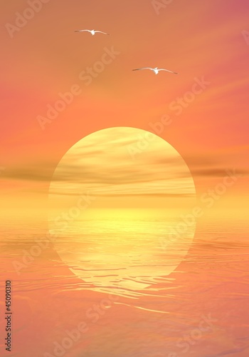 Fototapeta Naklejka Na Ścianę i Meble -  Seagulls by sunset