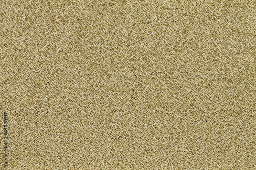 close-up view on amaranth seeds close-up view on amaranth seeds
